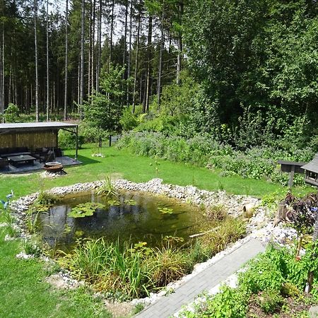 Sammy'S Fewo Goslar Exteriör bild